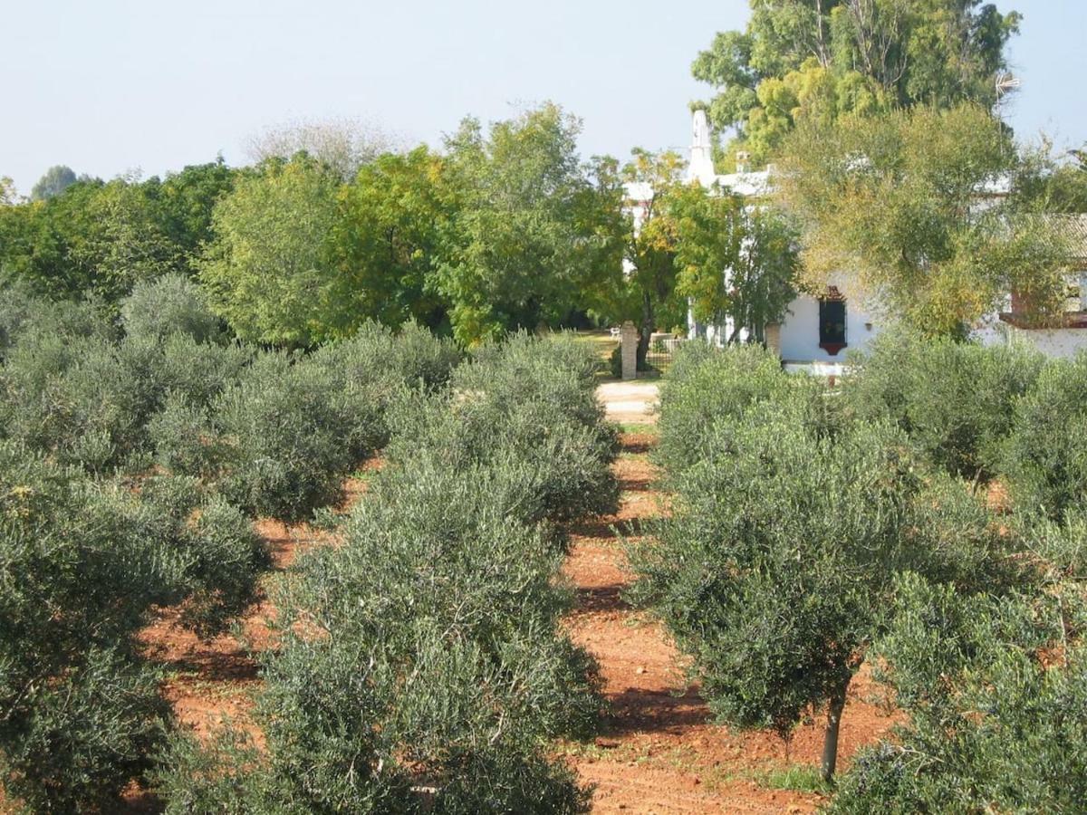 Hacienda Chambergo Casa En La Campina Sevillana Écija Buitenkant foto